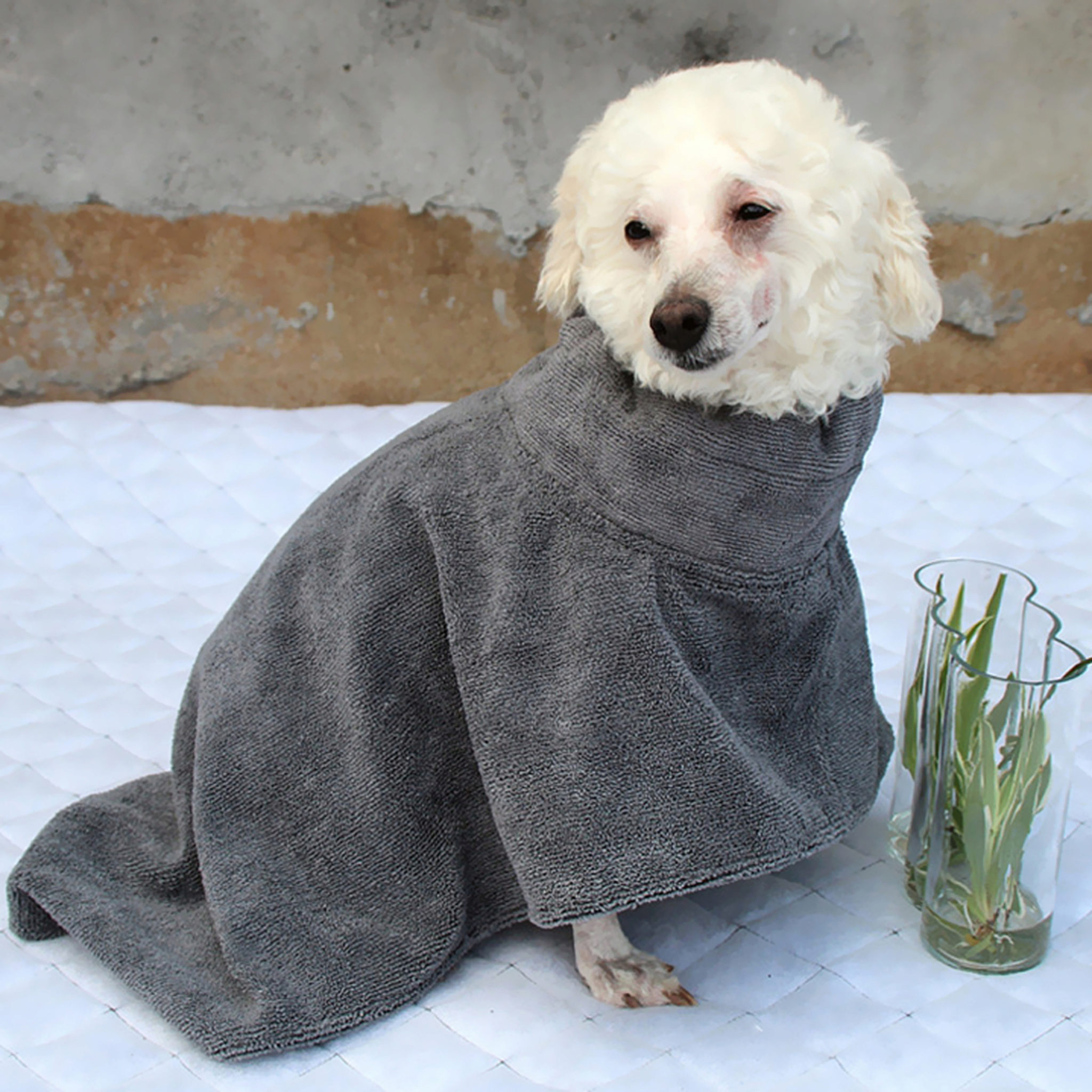 5 Migliori Asciugamani Per Cani Per Asciugare Il Tuo Cagnolino