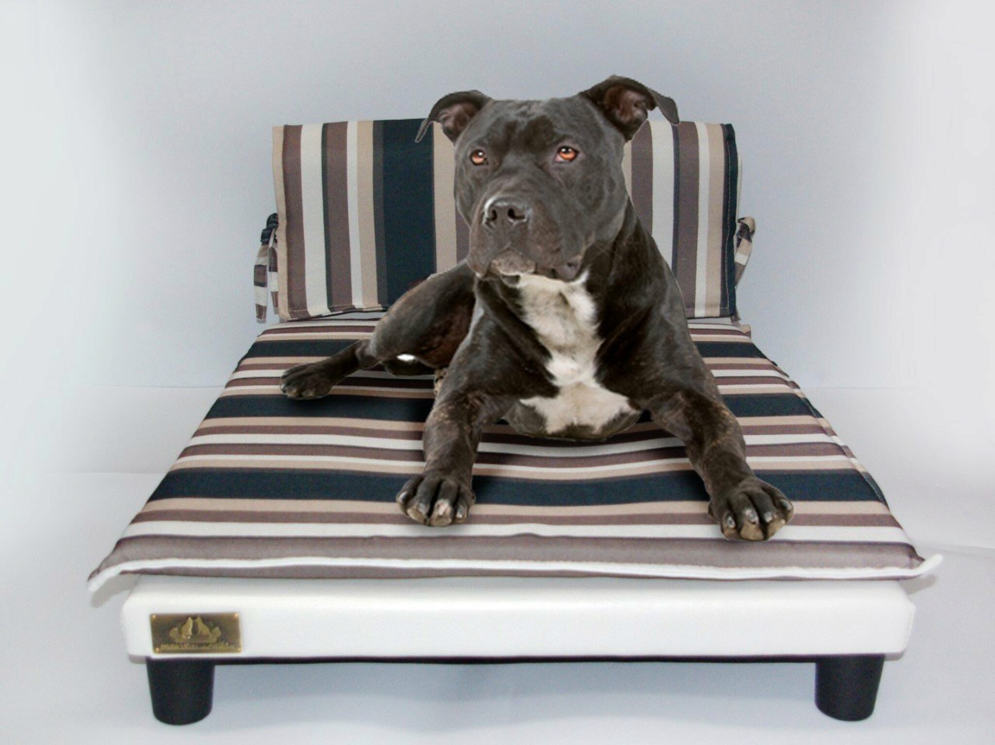 55,5 x 40 cm, grigio marmo portata massima 70 kg divano per cani telaio letto per cani di taglia piccola MSmask Cuccia per cani con cassetto media e grande cuccia rialzata
