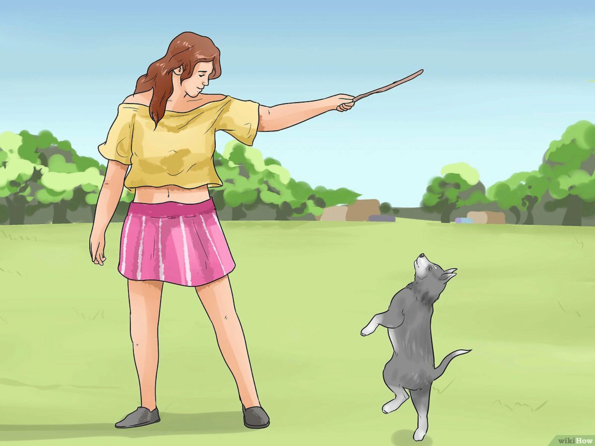 Come Addestrare Un Cane Aggressivo