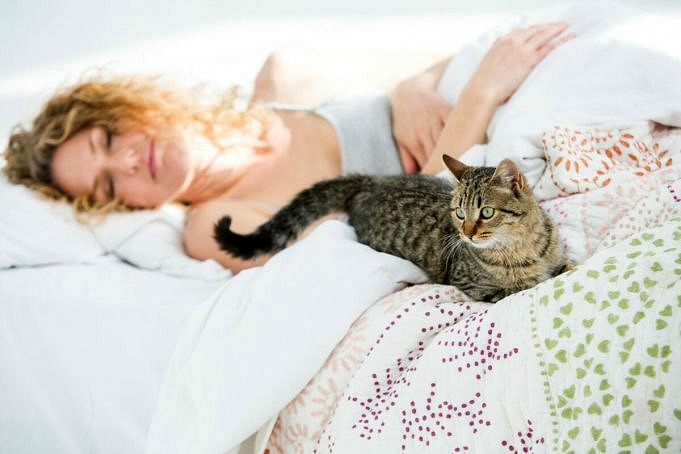 Dormire Con Animali Domestici: Cosa Dice La Scienza?