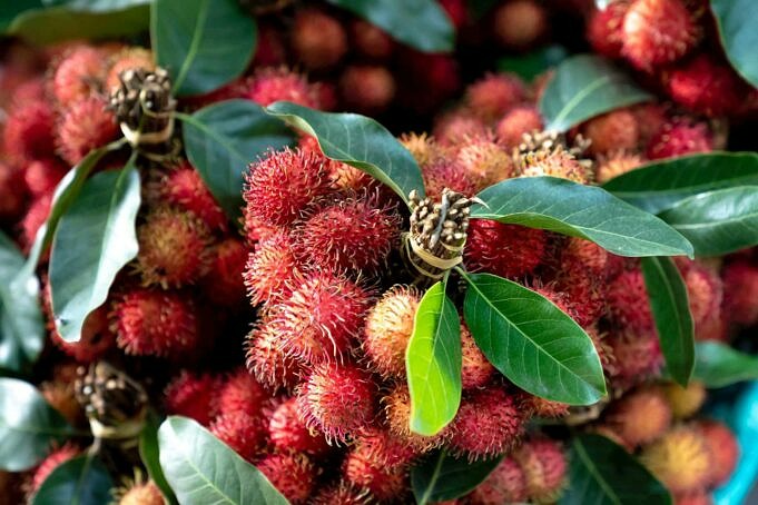 In Che Modo I Frutti Di Rambutan Sono Utili Per Le Persone Con Diversi Problemi Di Salute