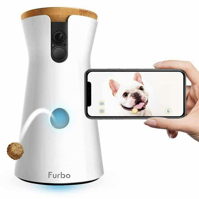 PetCube Bites 2 VS Furbo. Quale Fotocamera Per Cani è Migliore?